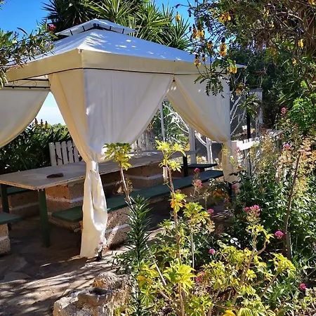 Dulce Maikel グラナディージャ・デ・アボナ