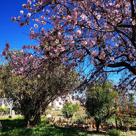 Dulce Maikel 別荘 *