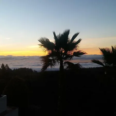 Dulce Maikel グラナディージャ・デ・アボナ