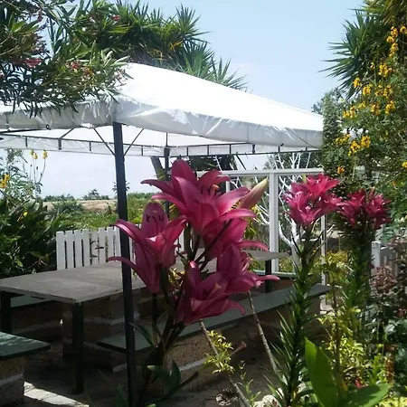 Dulce Maikel * グラナディージャ・デ・アボナ