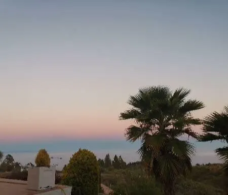 Dulce Maikel * グラナディージャ・デ・アボナ