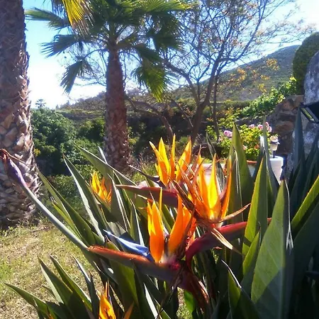 Dulce Maikel * Granadilla De Abona